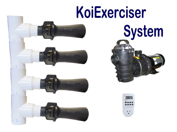 KoiExerciser